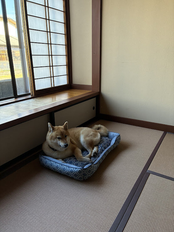 和室再製